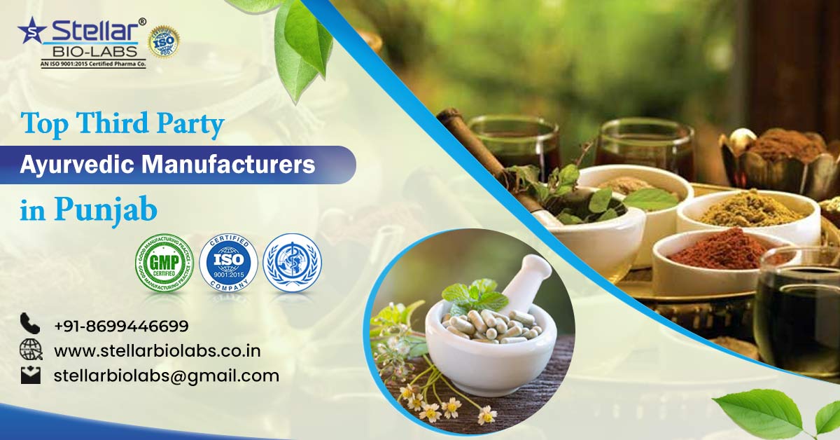 Top Third Party Ayurvedic Manufacturers in Punjab | Stellar Bio Labs